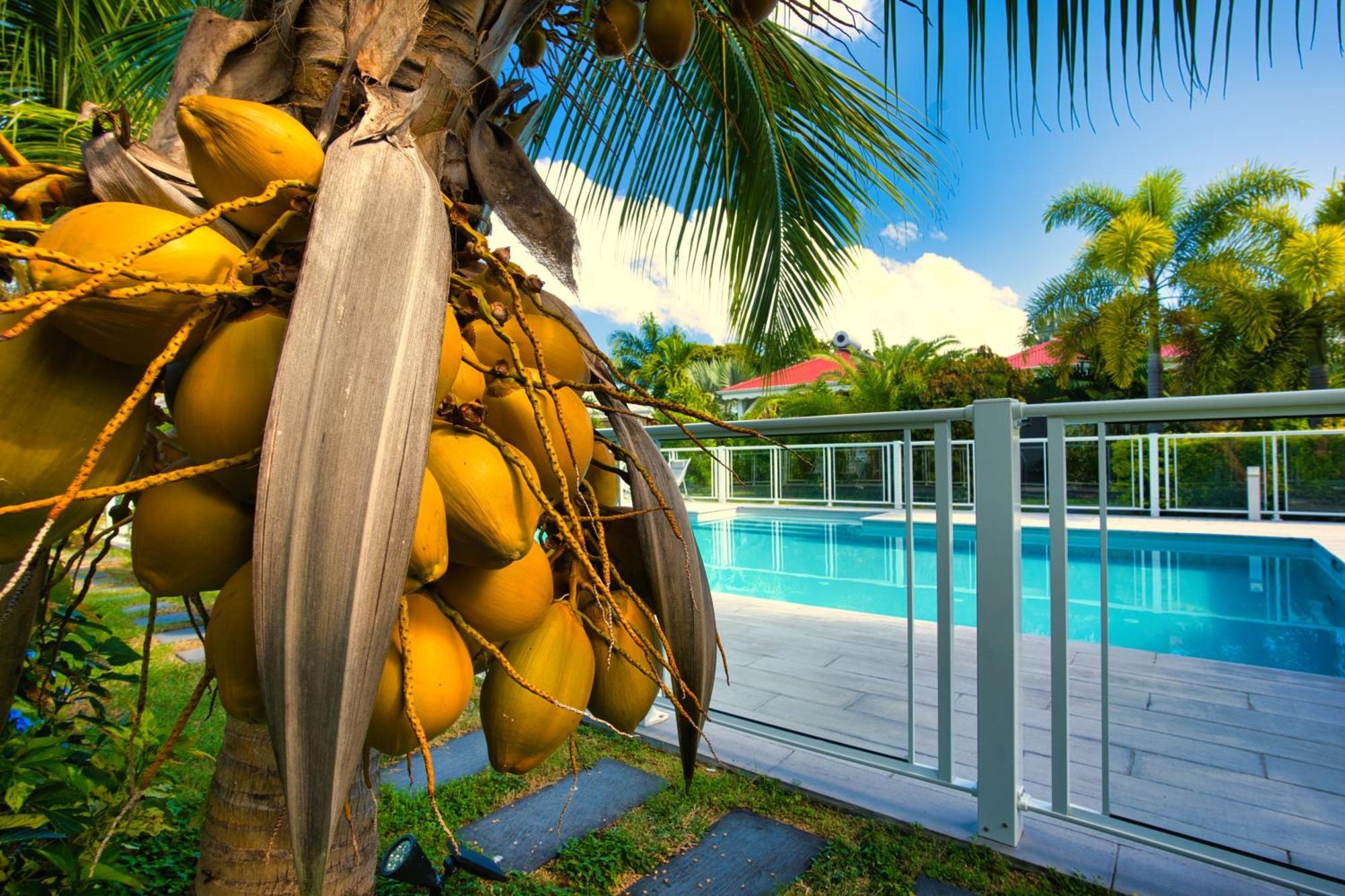 Hotel & Villa Le Cocotel Saint-Francois  Eksteriør bilde